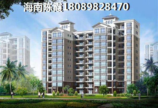 未来海南澄迈生纸潜力醉大的楼盘